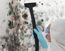 Trusted Palm Springs, CA Mold Removal & Remediation Experts